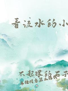 看流水的小说