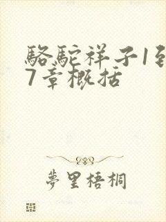 骆驼祥子1到17章概括