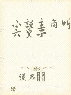 小说主角叫云铮六皇子