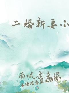 二婚新妻小说