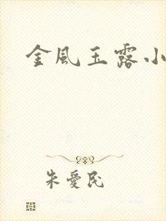 金风玉露小说读