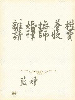 离婚抚养权官司请律师收费