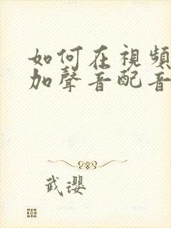 如何在视频里面加声音配音