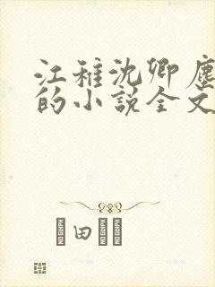 江稚沈卿尘江瑶的小说全文免费阅读最新