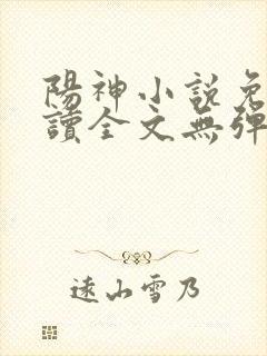 阳神小说免费阅读全文无弹窗