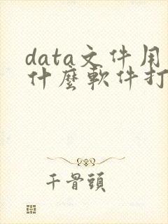 data文件用什么软件打开