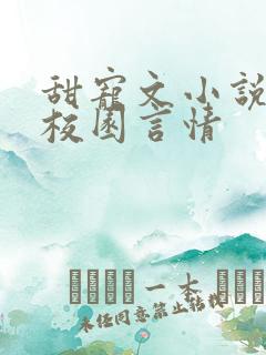 甜宠文小说推荐校园言情