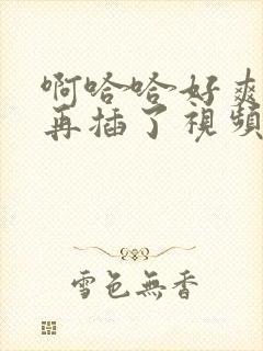 啊哈哈好爽不要再插了视频