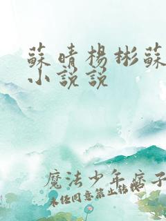 苏晴杨彬苏大明小说说