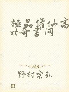 极品修仙高手txt奇书网