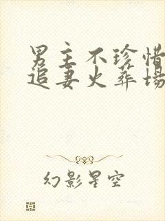 男主不珍惜女主追妻火葬场