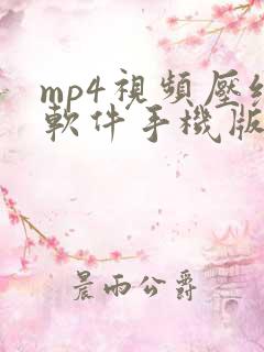 mp4视频压缩软件手机版