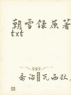 朝雪录原著小说txt