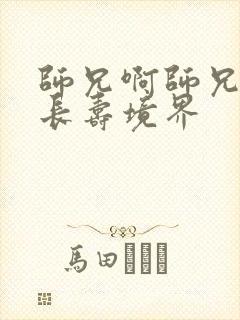 师兄啊师兄李长长寿境界