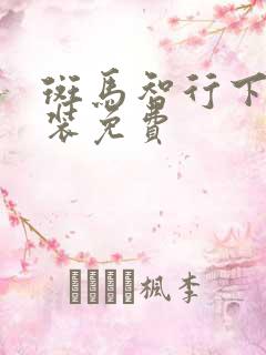 斑马智行下载安装免费