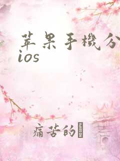 苹果手机分身版ios