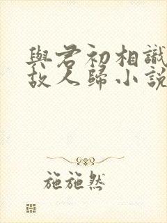 与君初相识恰似故人归小说原著