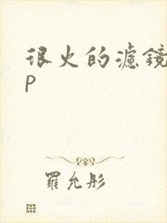 很火的滤镜app