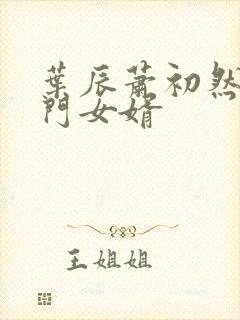 叶辰萧初然 上门女婿