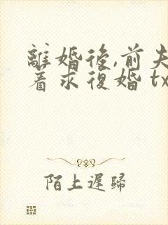 离婚后,前夫哭着求复婚 txt