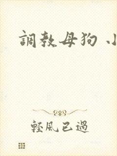 调教母狗 小说