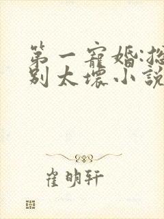 第一宠婚:总裁别太坏小说完整版阅读