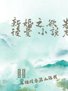新婚之欲 先婚后爱 小说免费阅读