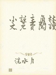 小说主角林枫全文免费阅读