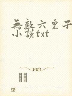 无敌六皇子云铮小说txt