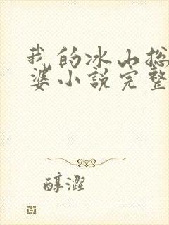 我的冰山总裁老婆小说完整版