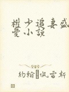 权少追妻盛婚秘爱小说