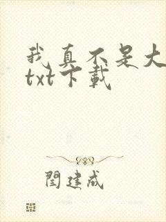 我真不是大佬 txt下载