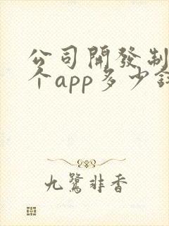 公司开发制作一个app多少钱