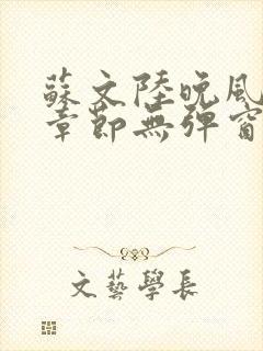 苏文陆晚风最新章节无弹窗笔趣阁