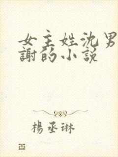 女主姓沈男主姓谢的小说