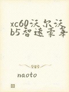 xc60沃尔沃b5智远豪华版