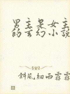 男主是女主师兄的玄幻小说