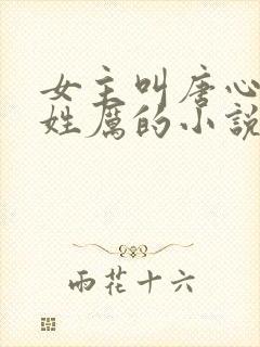 女主叫唐心男主姓厉的小说
