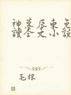 神墓辰东免费阅读全文小说
