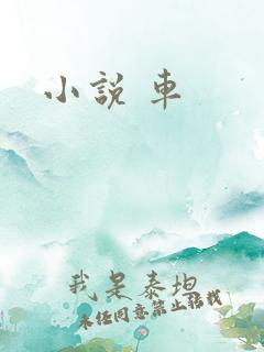 小说 车