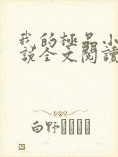 我的极品小姨小说全文阅读免费