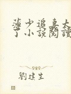 薄少追妻太上头了小说阅读