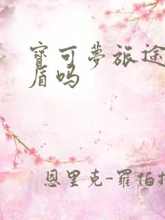 宝可梦旅途是剑盾吗