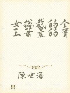 女总裁的全能兵王萧晨的实力