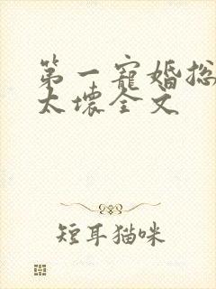 第一宠婚总裁别太坏全文