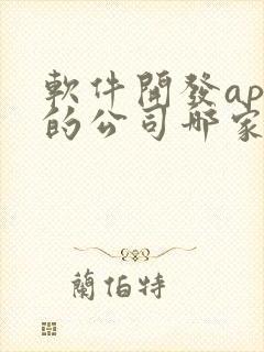 软件开发app的公司哪家好