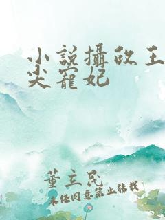 小说摄政王的心尖宠妃