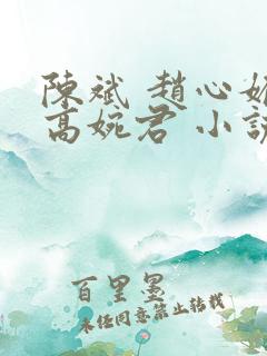 陈斌 赵心媚 高婉君 小说