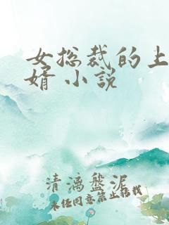 女总裁的上门女婿 小说