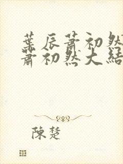 叶辰萧初然叶辰萧初然大结局